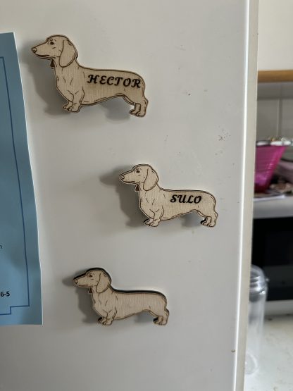 Jääkaappi magneetti